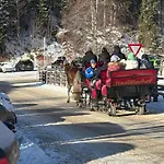 Chalet Luxury Filzmoos