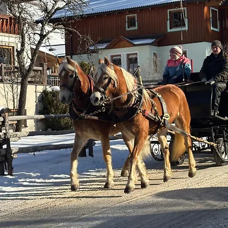 Domek alpejski Luxury