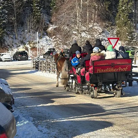 Domek alpejski Luxury Filzmoos