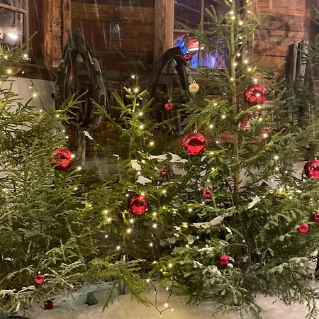 Luxury شاليه فيلزموس