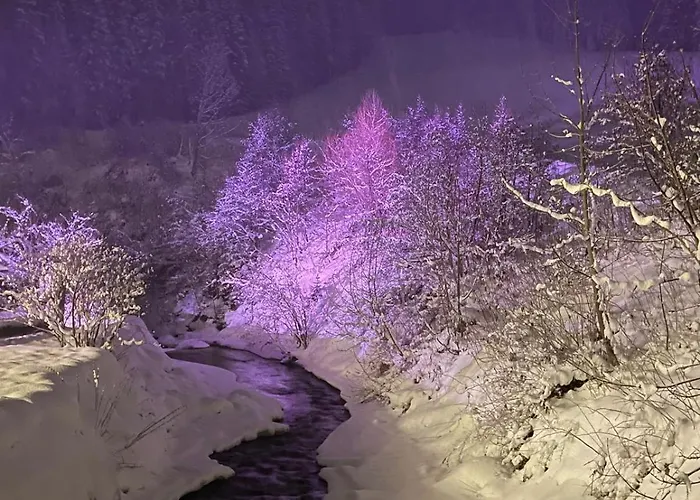 Luxury * 필즈모스